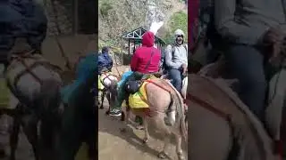 Kedarnath trek good weather good vibes
