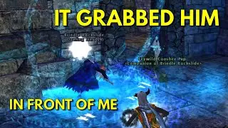 Wear Deathblock boyos - even on 8 lvl || DDO Hardcore