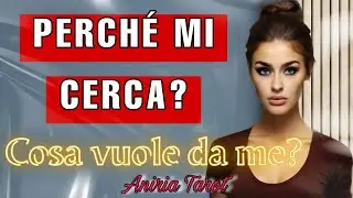 PERCHÉ MI CERCA? COSA VUOLE DA ME? | TAROCCHI