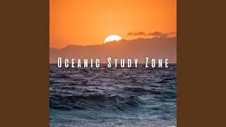 Ambient Study Aid