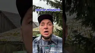 Самая опасная иллюзия в Германии