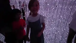 Teamlab Tokyo 2025