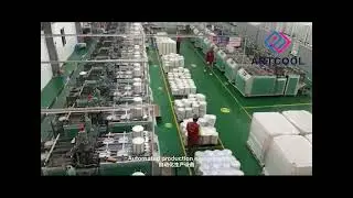 Explore Artcool&rsquo;s Paper Plate Production in Cambodia Factory