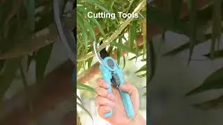 How much do you know about the trending garden tools for 2024?