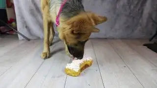 Luna First Birthday - Cake Smash