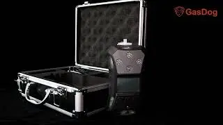 Explosion-proof Multi Gas Detector - Portable Type, PPM/%VOL/%LEL/EX
