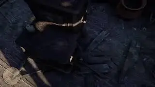 Rdr2 story mode part 7