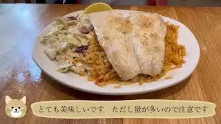 30泊32日 ハワイ　11月20日カイルアの町並み