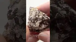 Golden Astrophyllite on Feldspar from Russia AS53