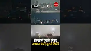 Delhi Cold Wave News: दिल्ली में मौसम की मार, कड़ाके की ठंड ने तोड़े सारे रिकॉर्ड