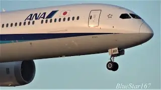 All Nippon Airways Boeing 787-10 (JA901A) landing at NRT/RJAA (Tokyo - Narita) RWY 16R