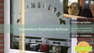 Trimsalon Make-It-Easy
