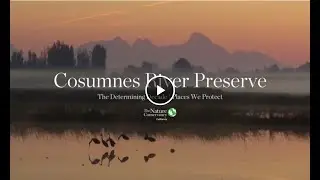 The Places We Protect: Cosumnes River Preserve