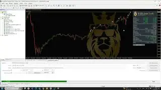 Как работать с Auto Lock Smart System от разработчика puls-invest.ru