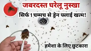 बस एक चम्मच&hellip; ड्रेन फ्लाई गायब! जानें घर पर सबसे आसान तरीका😱 bathroom drain fly solution