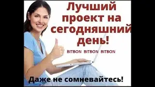 shkola Bitbon пополнения баланса Paeer запуск BMA Mining ACCELERATOR.