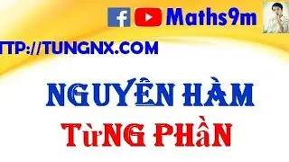 Nguy&ecirc;n h&agrave;m từng phần | Chuy&ecirc;n đề nguy&ecirc;n h&agrave;m | Học to&aacute;n 12 Online | Maths9m