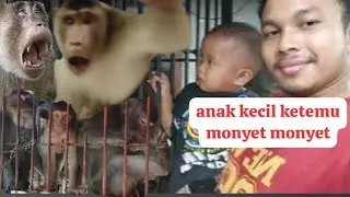 ajak anak kecil interaksi sama 14ekor beruk dikandang primata bekasi (mini vlog no edit no cut)