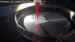 Collagen Bioink for 3D-printing