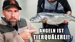 Neue Studie BEWEIST: Fische SP&Uuml;REN STARKE SCHMERZEN beim ANGELN | Robert Marc Lehmann reagiert