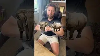 Which Animal Do You Want To Avoid in The Wild?