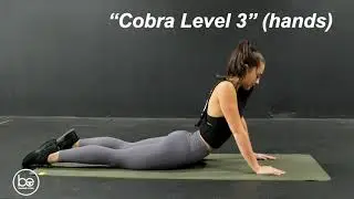 Cobra Advanced