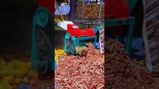 AGRITECH || Mesin perontok jagung #shorts