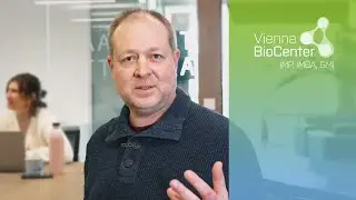 Alexander Stark | Scientist Snapshot | IMP, Vienna BioCenter