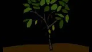 Божественная шоколадная история