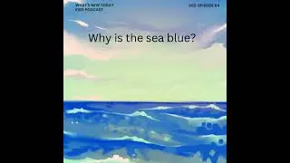 S2 E64: Science - Why is the sea blue? A question that led to a Nobel Prize!