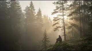 Midwest Emo Playlist &ndash; Calm Music for Overthinkers