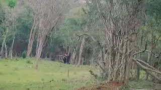 Airsoft AARL 31/08/2025 - Campo Fazenda Flexeira