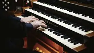 LUMINISCENCE | Live Concert | Notre-Dame de la Treille Cathedral, Lille