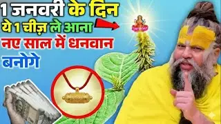 1 जनवरी 2026 के दिन इस पौधे की जड़ पहनने से पूरे साल धनवर्षा होगी | Premanand Ji Maharaj