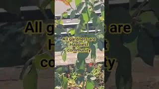 gardners are Happiest community ll #new #garden #nature #gardner #shortsfeed #flowers #shorts #yt