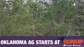 Eastern Redcedar & Watersheds (11/3/18)
