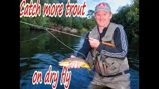 Fishing the dry fly for wild brown trout in Ireland.