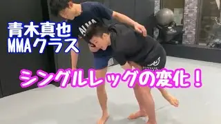 青木真也MMAクラスより　シングルレッグの変化