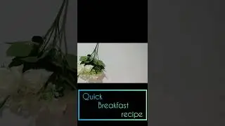 Quick breakfast Recipe| BY YOUR COOK'S