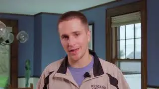 Excessive Barking/Vocalization &ndash; Flash Class