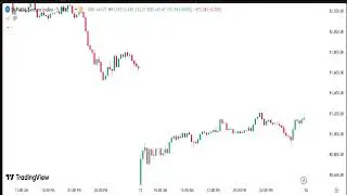 Dynamic Trade winners Live Stream