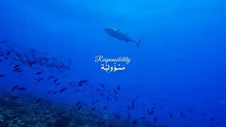 Responsibility I From Ba:TE