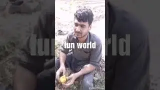 زڑہ راخکونکی شاعری دہ یو زمیندار اواز....