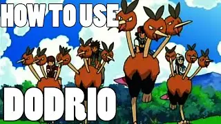 Как использовать: Dodrio! Руководство по стратегии Dodrio! Pokemon