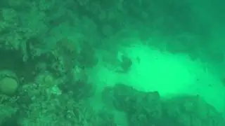 Smith's Reef