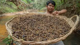 Wow! Cooking 100 Million Insects & Eating Delicious Insects Food