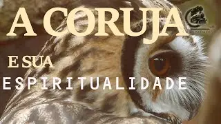 CORUJA SIGNIFICADO ESPIRITUAL - SONHAR COM CORUJA