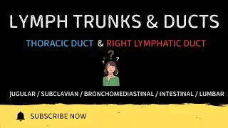 Lymphatic Trunks and Ducts Explained | Types, Functions | HAP-1| semester| b.pharmacy