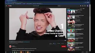 me pen and webzip react to youtube rewind 2019