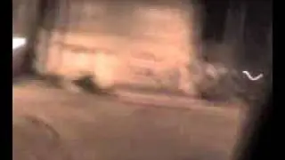 Corre el boludo  de Damian
